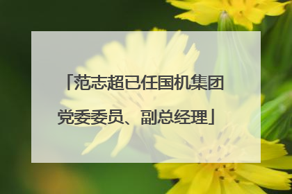 范志超已任国机集团党委委员、副总经理