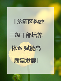 茅箭区构建三级干部培养体系 赋能高质量发展