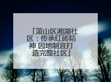 萧山区湘湖社区：传承红砖精神 因地制宜打造完整社区
