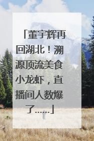 董宇辉再回湖北！溯源顶流美食小龙虾，直播间人数爆了……