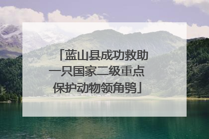 蓝山县成功救助一只国家二级重点保护动物领角鸮