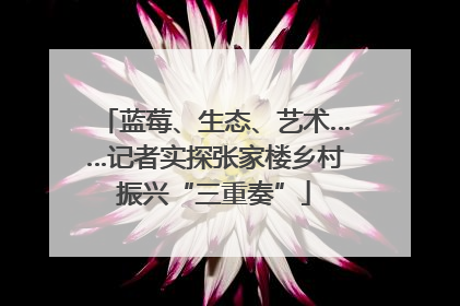 蓝莓、生态、艺术……记者实探张家楼乡村振兴“三重奏”
