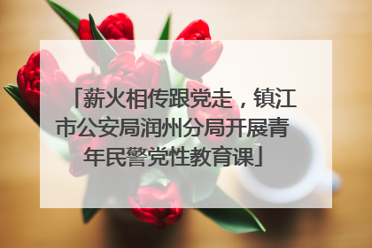 薪火相传跟党走，镇江市公安局润州分局开展青年民警党性教育课