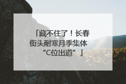 藏不住了！长春街头耐寒月季集体“C位出道”