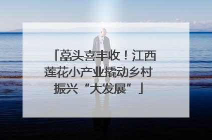 藠头喜丰收！江西莲花小产业撬动乡村振兴“大发展”