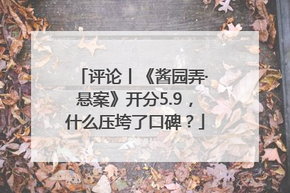 评论丨《酱园弄·悬案》开分5.9，什么压垮了口碑？