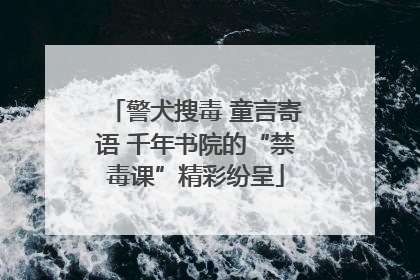 警犬搜毒 童言寄语 千年书院的“禁毒课”精彩纷呈