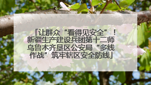 让群众“看得见安全”！新疆生产建设兵团第十二师乌鲁木齐垦区公安局“多线作战”筑牢辖区安全防线