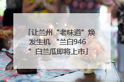 让兰州“老味道”焕发生机 “兰白946”白兰瓜即将上市