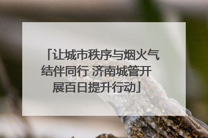 让城市秩序与烟火气结伴同行 济南城管开展百日提升行动