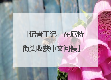记者手记｜在厄特街头收获中文问候
