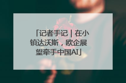 记者手记｜在小镇达沃斯，欧企展望牵手中国AI