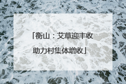 衡山：艾草迎丰收 助力村集体增收