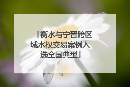 衡水与宁晋跨区域水权交易案例入选全国典型
