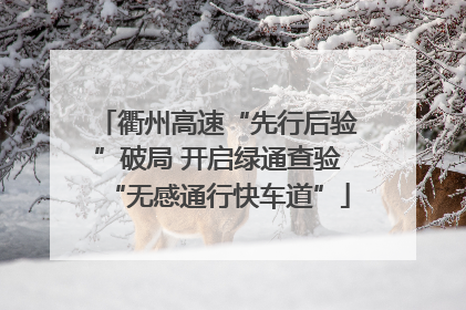 衢州高速“先行后验”破局 开启绿通查验“无感通行快车道”