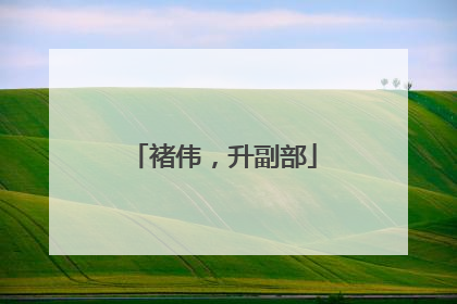 褚伟，升副部