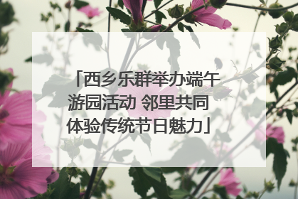 西乡乐群举办端午游园活动 邻里共同体验传统节日魅力