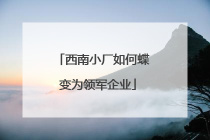 西南小厂如何蝶变为领军企业