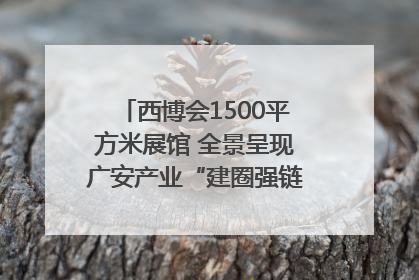 西博会1500平方米展馆 全景呈现广安产业“建圈强链”｜西博视界