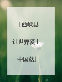 西峡县 让世界爱上中国菇