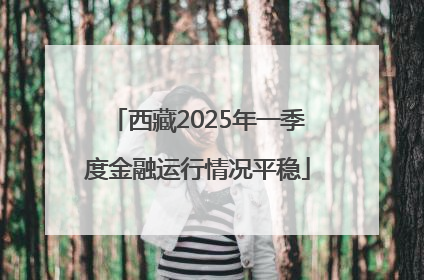 西藏2025年一季度金融运行情况平稳