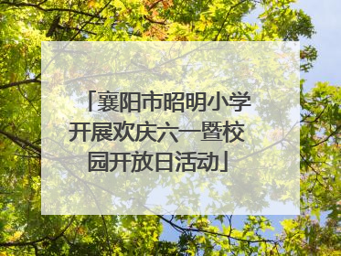 襄阳市昭明小学开展欢庆六一暨校园开放日活动