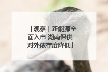 观察｜新能源全面入市 湖南保供对外依存度降低
