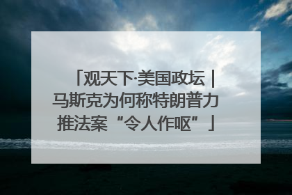 观天下·美国政坛｜马斯克为何称特朗普力推法案“令人作呕”