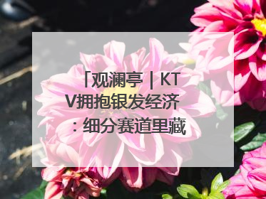 观澜亭｜KTV拥抱银发经济：细分赛道里藏着潜在需求