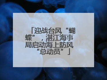迎战台风“蝴蝶”，湛江海事局启动海上防风“总动员”