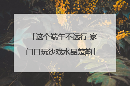 这个端午不远行 家门口玩沙戏水品楚韵