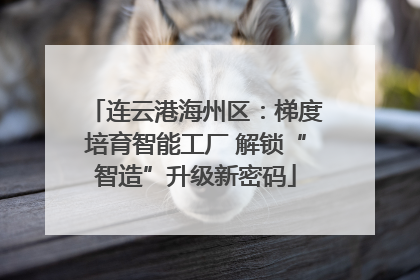 连云港海州区：梯度培育智能工厂 解锁“智造”升级新密码