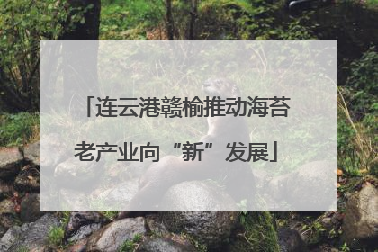 连云港赣榆推动海苔老产业向“新”发展