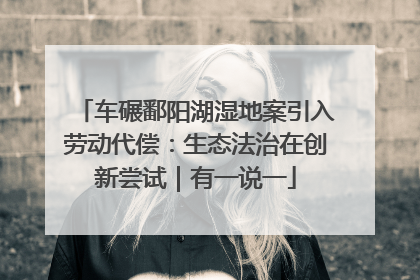 车碾鄱阳湖湿地案引入劳动代偿：生态法治在创新尝试｜有一说一