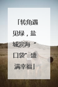 转角遇见绿，盐城滨海“口袋”盛满幸福