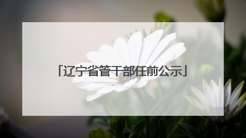 辽宁省管干部任前公示