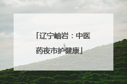 辽宁岫岩：中医药夜市护健康