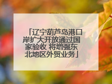 辽宁葫芦岛港口岸扩大开放通过国家验收 将增强东北地区外贸业务