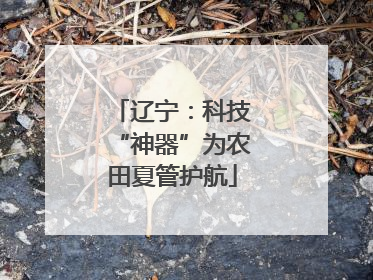 辽宁：科技“神器”为农田夏管护航