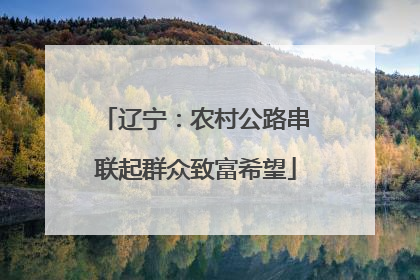 辽宁：农村公路串联起群众致富希望