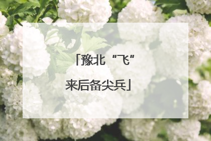 豫北“飞”来后备尖兵