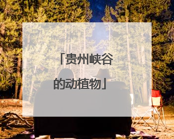 贵州峡谷的动植物