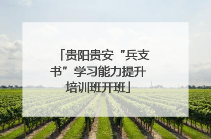 贵阳贵安“兵支书”学习能力提升培训班开班