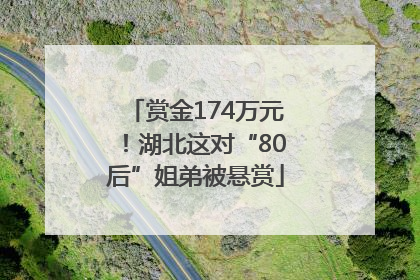 赏金174万元！湖北这对“80后”姐弟被悬赏
