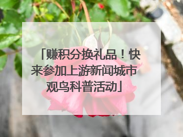 赚积分换礼品！快来参加上游新闻城市观鸟科普活动