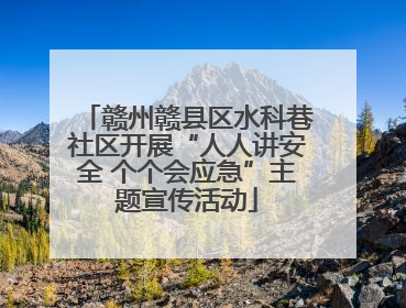 赣州赣县区水科巷社区开展“人人讲安全 个个会应急”主题宣传活动