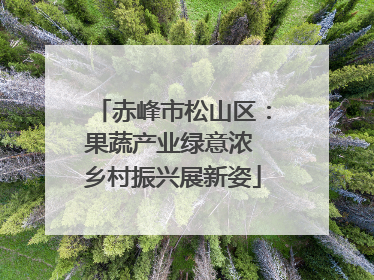 赤峰市松山区：果蔬产业绿意浓 乡村振兴展新姿