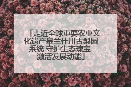 走近全球重要农业文化遗产皋兰什川古梨园系统 守护生态瑰宝 激活发展动能