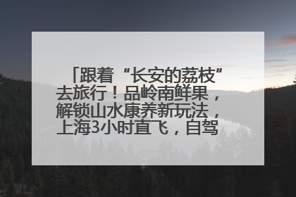 跟着“长安的荔枝”去旅行！品岭南鲜果，解锁山水康养新玩法，上海3小时直飞，自驾高速费优惠
