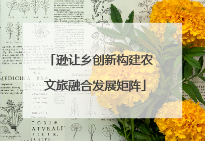 逊让乡创新构建农文旅融合发展矩阵